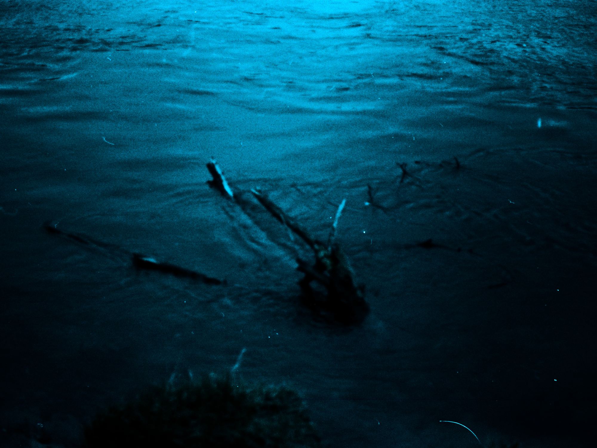 35mm image 4